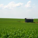 Co można wybudować na działce rolnej bez pozwolenia – praktyczny poradnik Co można wybudować na działce rolnej bez pozwolenia