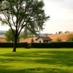 Działka siedliskowa – co to znaczy i jakie ma przeznaczenie Działka siedliskowa – co to znaczy