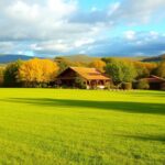 Ile kosztuje ar działki budowlanej – aktualne ceny Ile kosztuje ar działki budowlanej