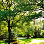 Jakie drzewa na działkę