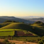 Czy ceny działek budowlanych wzrosną