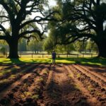 Jakie odszkodowanie za przekopanie działki